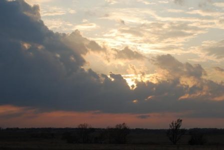 Prairie Nights Image